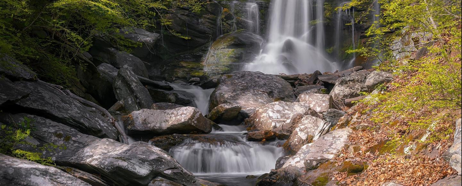 Waterfall in forest