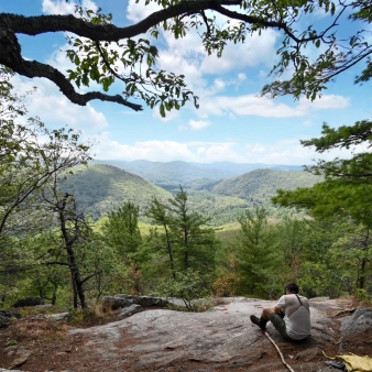 Hombre con vistas al sendero Pine Loop Trail en el parque estatal Housatonic Meadows