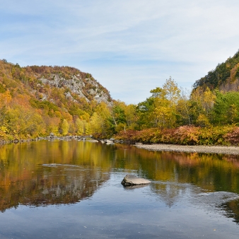 A view of the river and fall trees