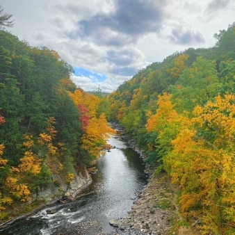 An aerial view of the river in the fall (Instagram@nemumford)
