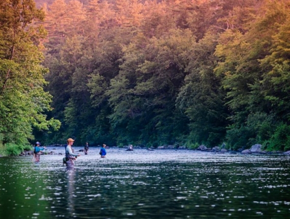 Group fly fishing at dusk at American Legion (Instagram@nyctrout)