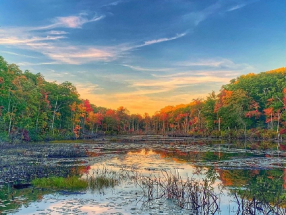 Water reflecting fall trees and sky (Instagram@marklark13)