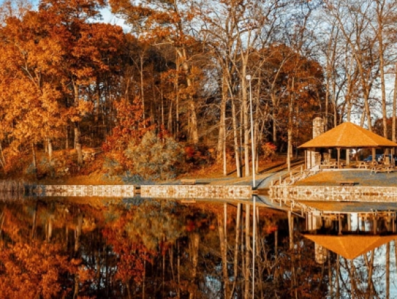 A shelter on the bank of a lake reflecting trees and sky (Instagram@kaitlyncasso)