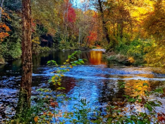 A river through the trees in fall (Instagram@lizardwest)