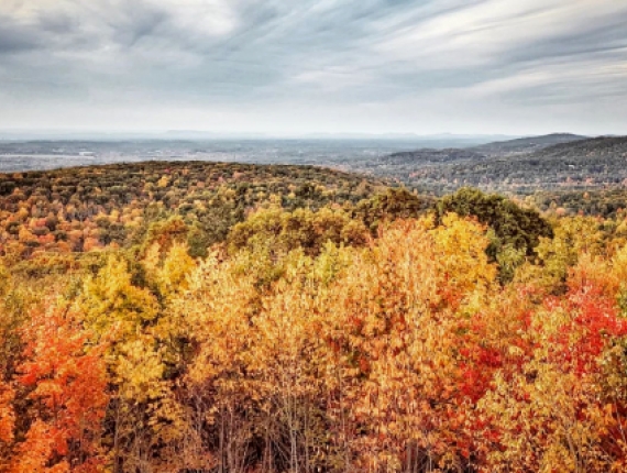 Intense gray sky over rolling hills of fall foliage (Instagram@jessbiggs22)