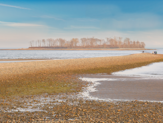 Walking along shoreline at Silver Sands State Park